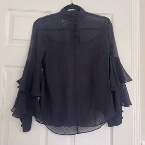 Chelsea28 Navy Sheer Blouse with Ruffle Sleeves